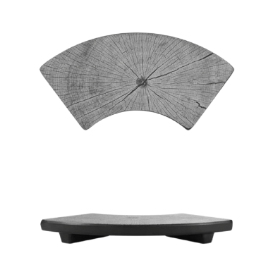 SUSHI PLATE ( SPECIAL ROLL)