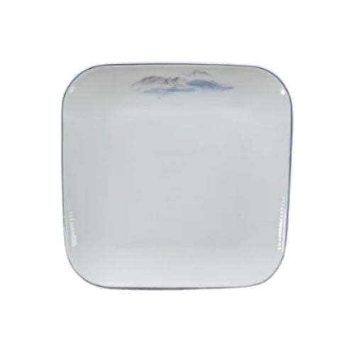 AMERICAN ENTERSS PLATES ( SALMON,JUMBO)